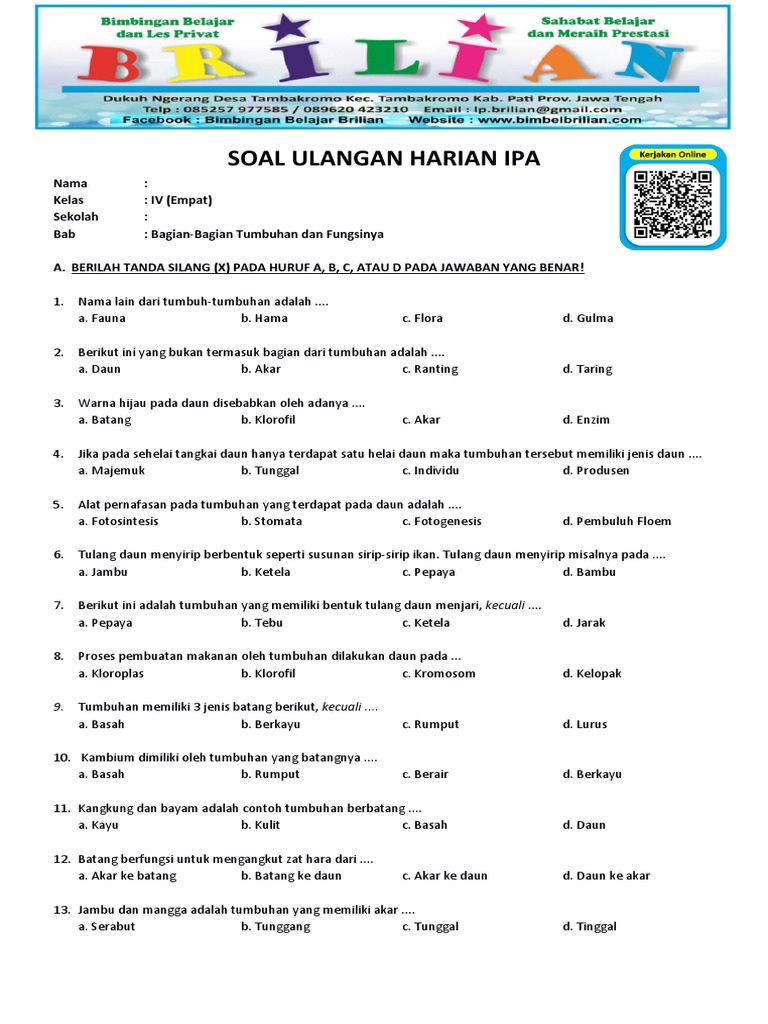 Soal Ulangan Harian IPA Kelas 4 SD - BAB 2 Bagian-Bagian Tumbuhan Dan Soal Ulangan Harian IPA Kelas 4 SD - BAB 2 Bagian-Bagian Tumbuhan Dan
