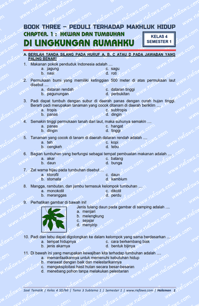 Soal Hots Sd Kelas 4 Tema 3 - Pendidik Siswa Soal Hots Sd Kelas 4 Tema 3 - Pendidik Siswa