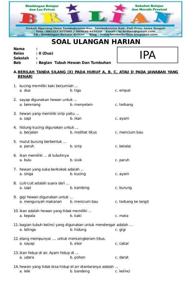 Ternyata Ini Dia Contoh Soal Latihan IPA Kelas 2 SD Semester 2 yang Wajib Dicoba Sebelum Ulangan