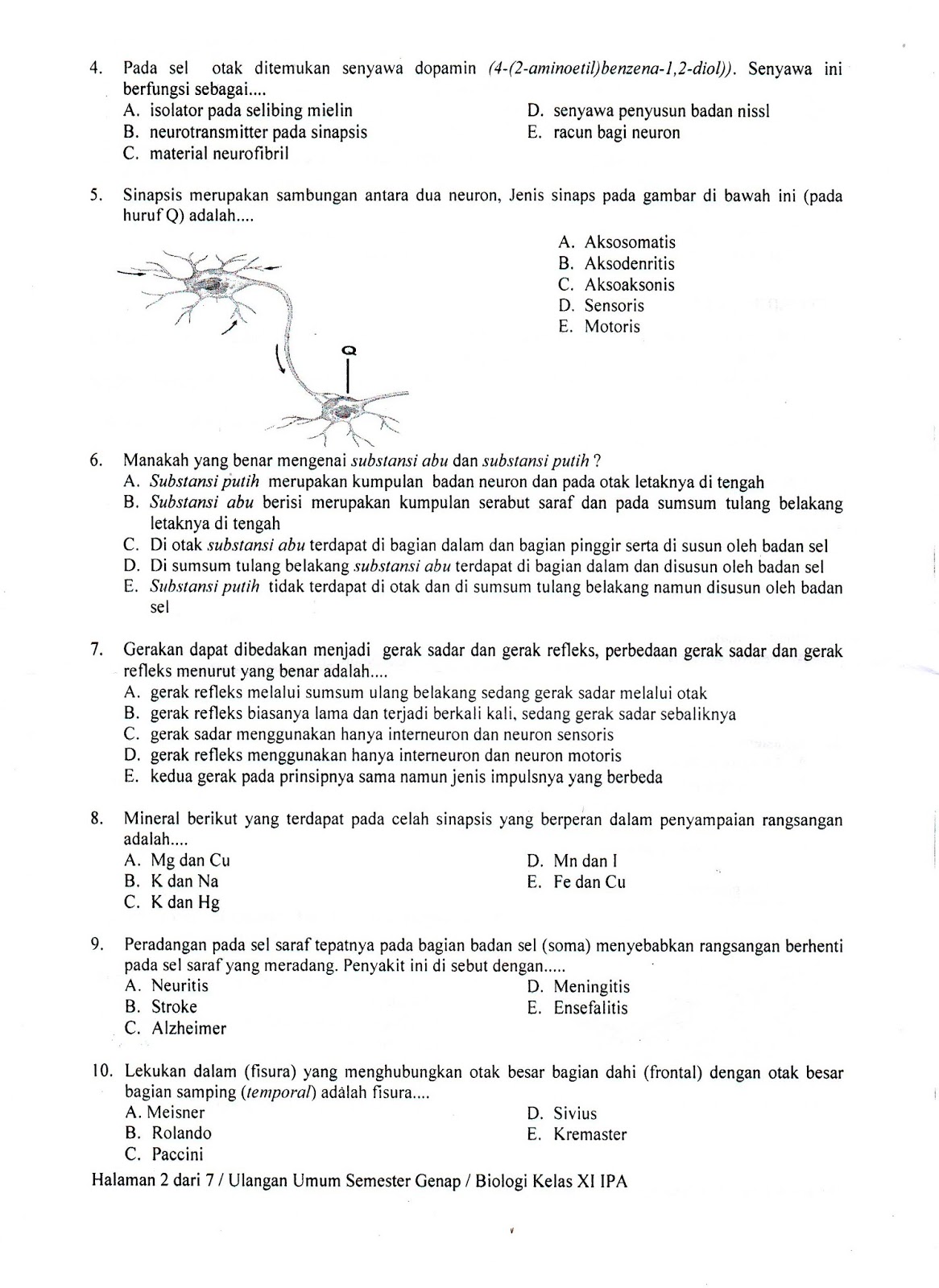 Wajib Tahu Bocoran Soal PTS Biologi Kelas 11 Semester 2 Agar Nilai Kamu Melejit Wajib Tahu Bocoran Soal PTS Biologi Kelas 11 Semester 2 Agar Nilai Kamu Melejit